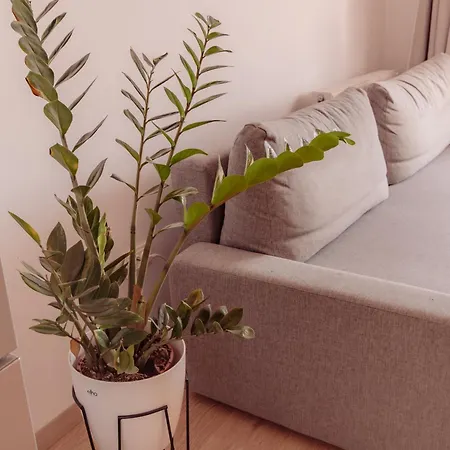 Apartamento Zen Rezidential *