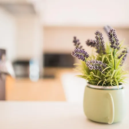 Διαμέρισμα Zen Residential *