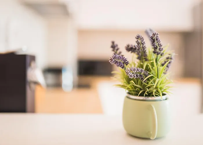 Apartmán Zen Residential *